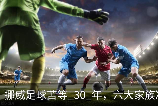 挪威足球苦等 30 年，六大家族凑世界杯主力，老国脚有啥绝招？