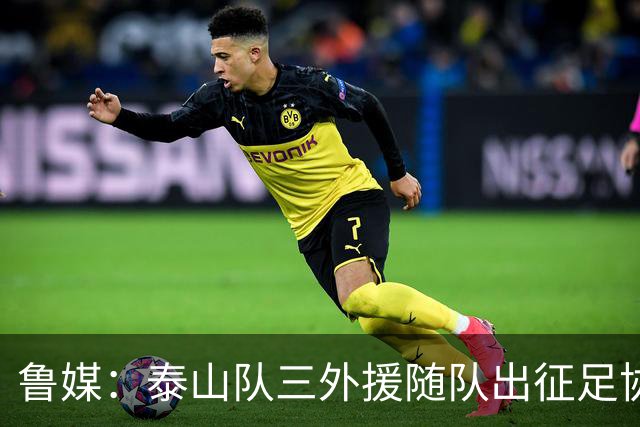 鲁媒：泰山队三外援随队出征足协杯，克雷桑还无法参加完整合练